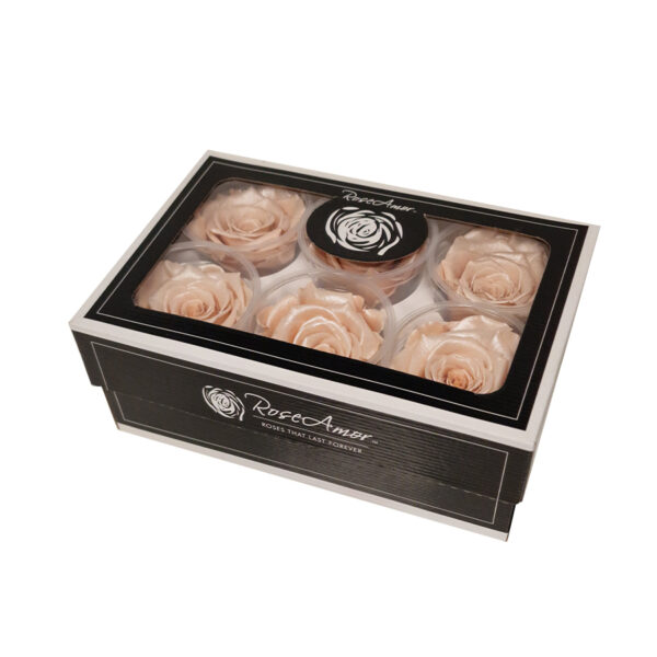 Τριαντάφυλλα Forever Roses Σομόν με Πέρλα XL Plus 6 box